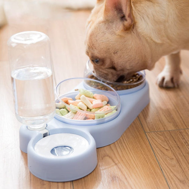 Double Bowl Automatic Feeder Drinking Water Pet Supplies