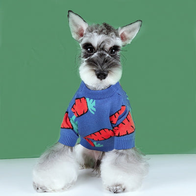 Dogs And Cats Schnauzer Teddy Winter Thickened Cute Carrot Sweater