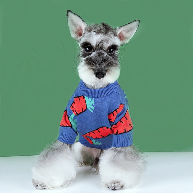 Dogs And Cats Schnauzer Teddy Winter Thickened Cute Carrot Sweater