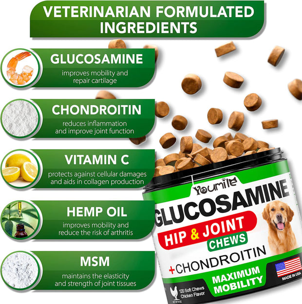 Pet Hip & Joint Supplement Chondroitin