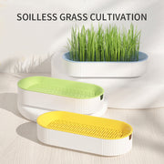 Hydroponic Cat Grass Box Plastic Tray Cat Grass Growing Kit Cat Grass Planter Hydroponic Cat Grass Box Cat Grass Sprouter Tray Interactive Cat Toy Window Planter Soilless For Pet Cat Plastic Plant Pot